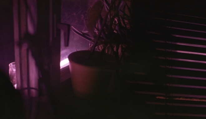 5 Banket 7, Audio Video Bass, Faraji, Ostrava b